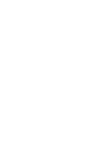 Mobile Image