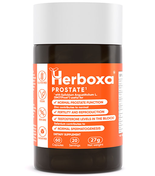 Herboxa® PROSTATE 