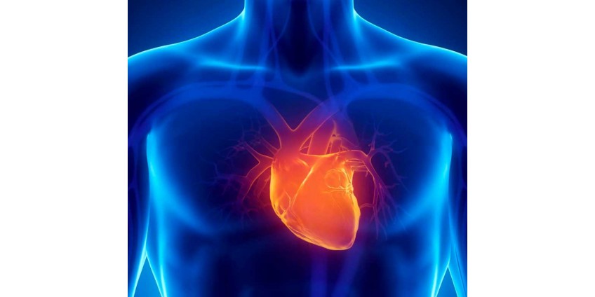 Szívbetegség – Hogyan győztem le a magas vérnyomást cékla-kiegészítővel