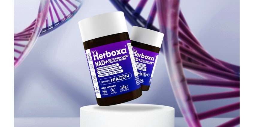 Herboxa® NAD+ | Innovatív öregedésgátló étrend-kiegészítő