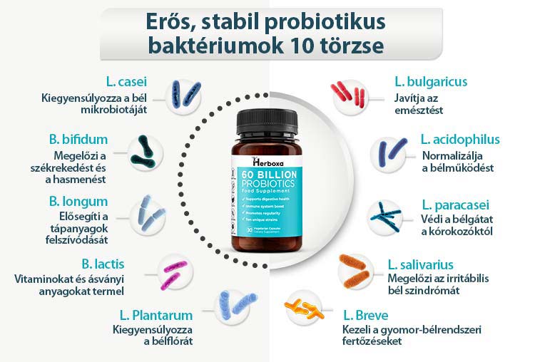 Herboxa Probiotic 60 Billion| Étrend-kiegészítő