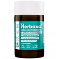 Herboxa Probiotic 60 Billion| Étrend-kiegészítő 